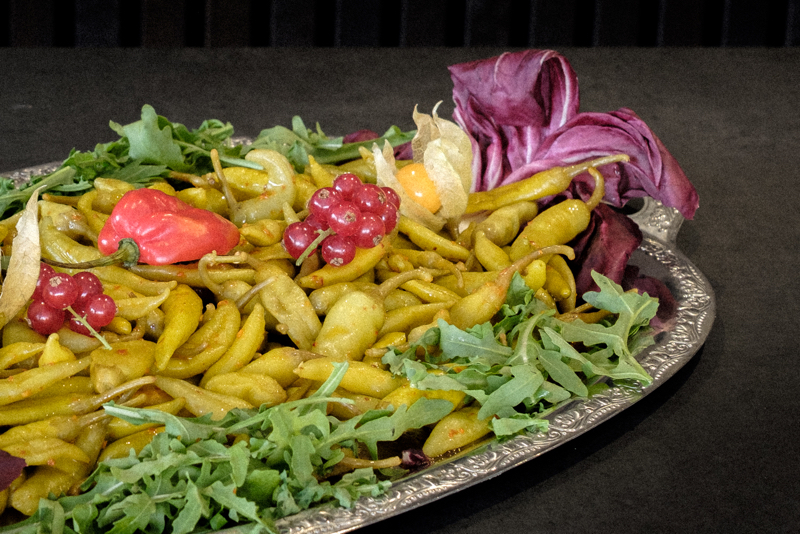 Aurora Template by BLOCS PREMIUM