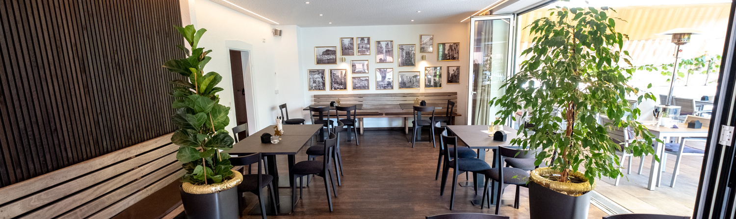 Aurora Template by BLOCS PREMIUM