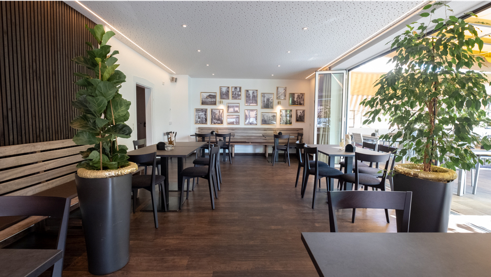 Aurora Template by BLOCS PREMIUM